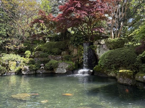 下呂温泉 水明館 クーポン