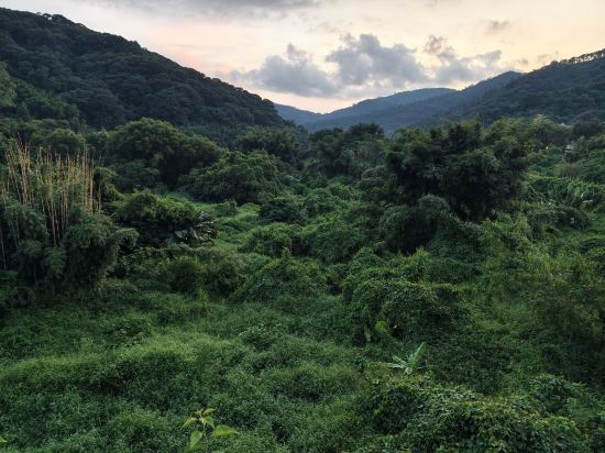 從化方圓·雲雅酒店優惠
