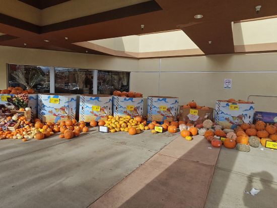 森尼維耳科珀裡特飯店優惠