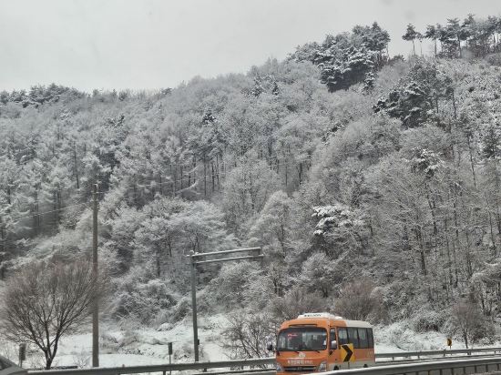 무주 파인트리하우스펜션 쿠폰