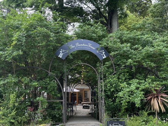 ザ・バンブーフォレスト クーポン
