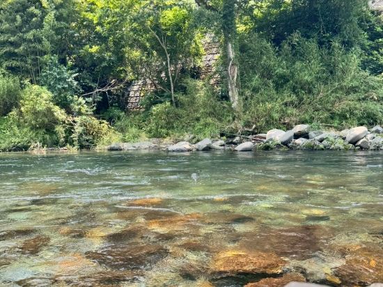 ザ・セレクトン久留米 クーポン