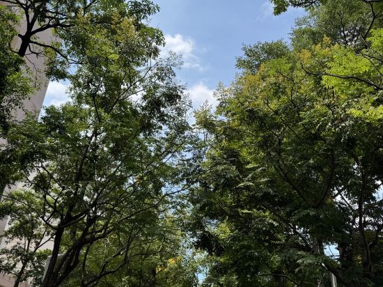 福容大飯店（高雄館）優惠