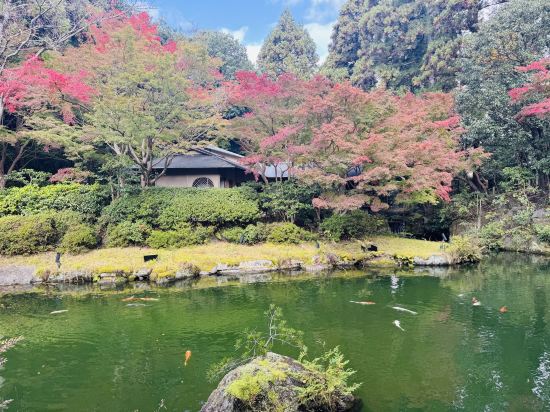 京都寶池皇家王子傲途格精選飯店優惠