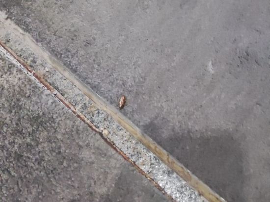 高雄樹屋旅店優惠