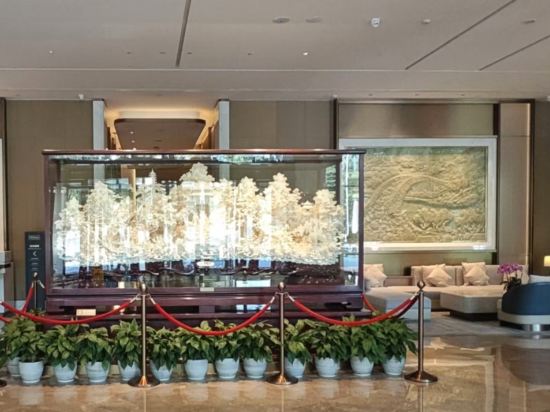 深圳南山希爾頓逸林酒店及公寓優惠