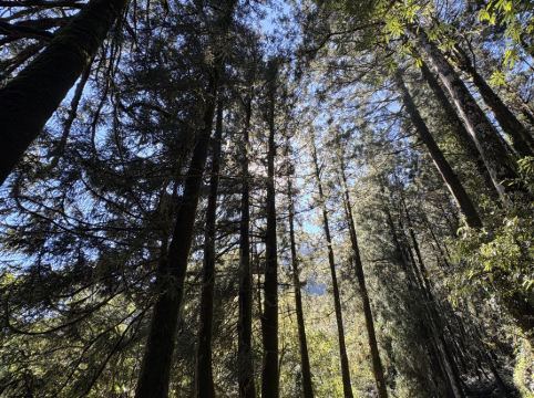 宜蘭大同明池山莊（明池森林遊樂區）優惠