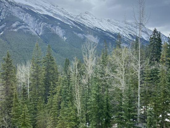 裏姆羅克度假酒店優惠