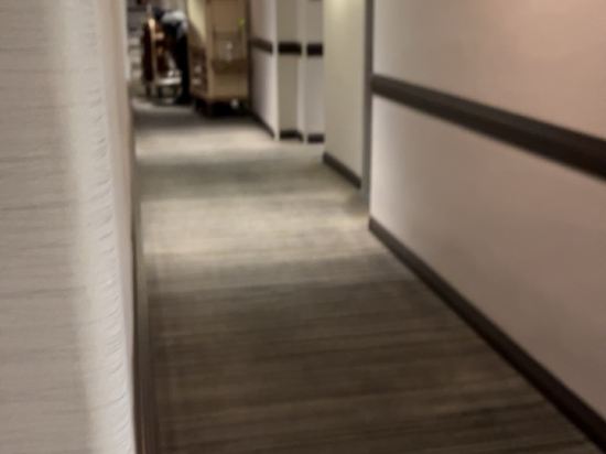 紐約市中心希爾頓酒店優惠