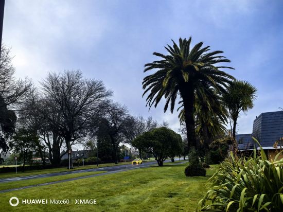 羅託魯瓦國敦酒店優惠