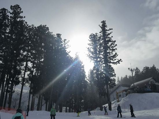 ホテルグリーンプラザ上越 クーポン