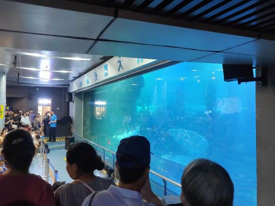 無它老洋房1929酒店（青島海底世界店）優惠