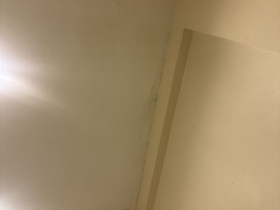 新加坡81酒店 - 芽籠 （Staycation Approved）優惠