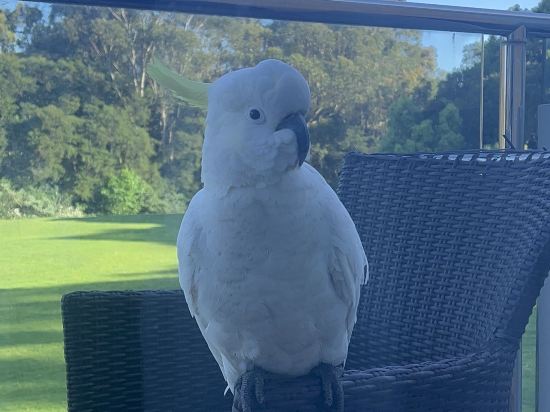 MGSM行政酒店優惠