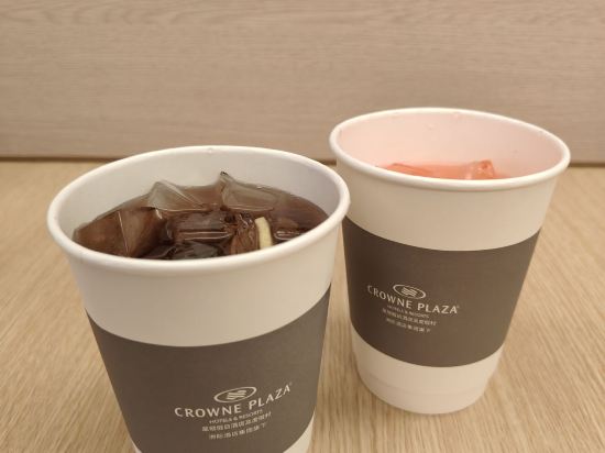 廣州花都皇冠假日酒店優惠