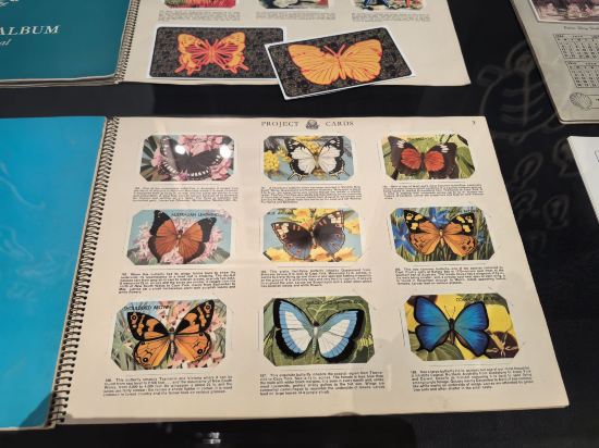 墨爾本宜必思公寓式飯店優惠