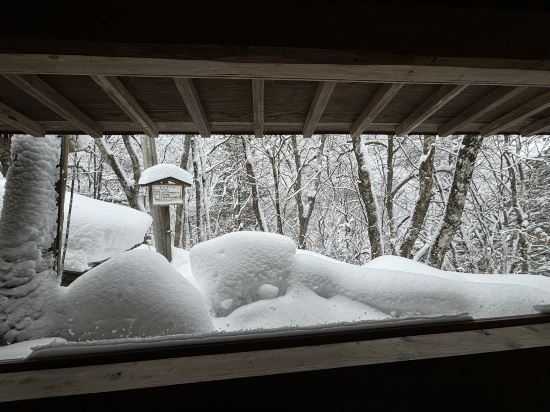 松宝苑（しょうほうえん） クーポン