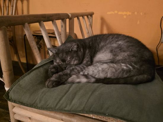 西湖出釉民宿優惠