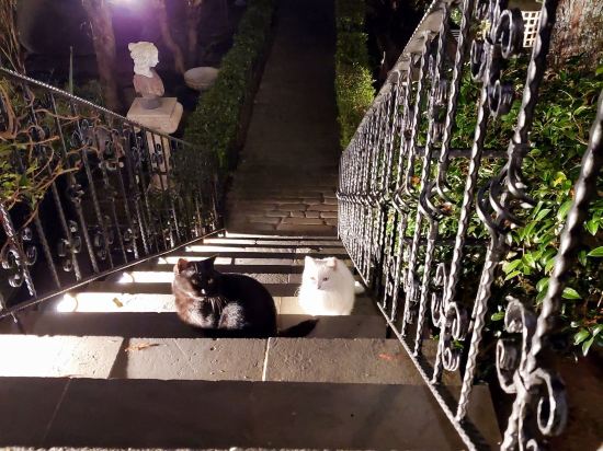 南投清境霞飛音樂城堡優惠