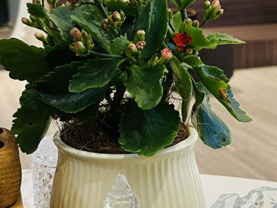 中山江畔商務酒店優惠