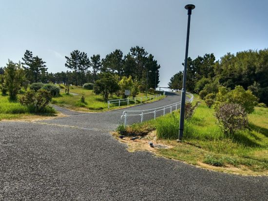 コンフォートスイーツ東京ベイ クーポン