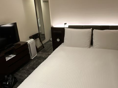 東京西新宿大和ROYNET酒店優惠