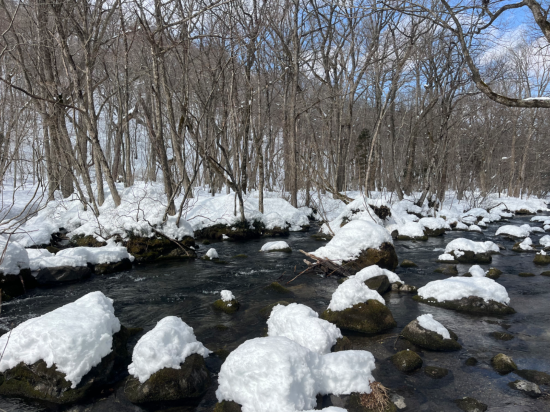 星野リゾート 奥入瀬渓流ホテル クーポン