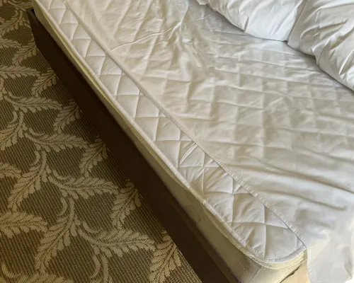Bayangol Hotel Rooms Photos