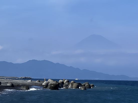 東横INN静岡清水駅前 クーポン