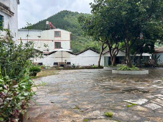 興義莫莫民宿優惠