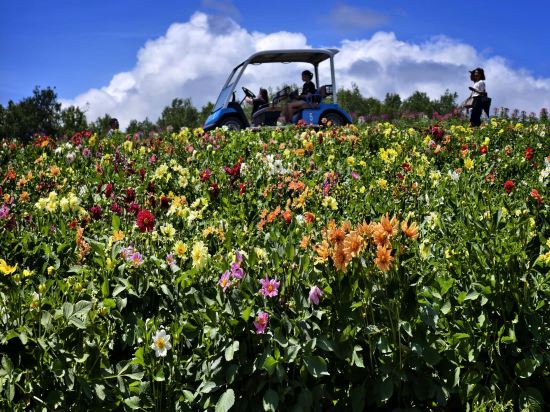 富良野リゾートホテル エーデルヴェルメ クーポン