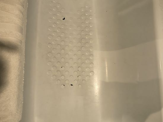 碧根逢甲酒店優惠