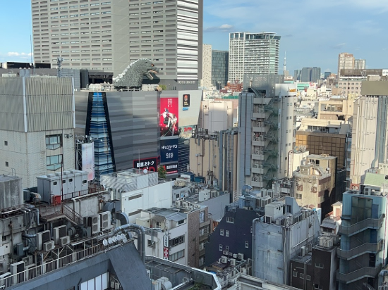 新宿王子大飯店優惠