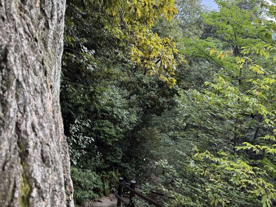 数寄屋風別館 佳水園 クーポン