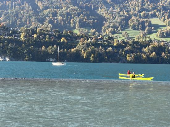 因特拉肯克雷布斯酒店優惠