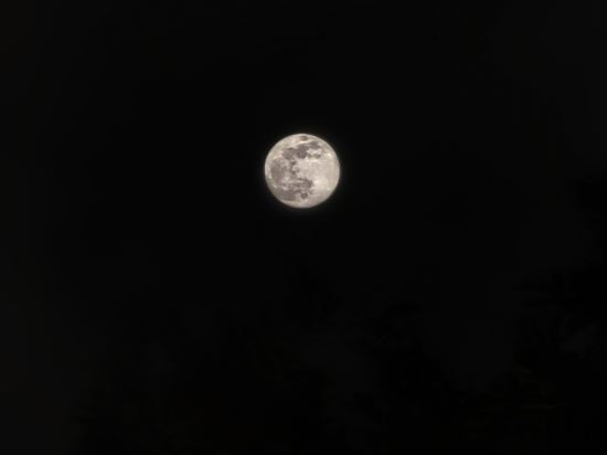 朵亞loft飯店公寓（廣州正佳廣場體育西路地鐵站店）優惠