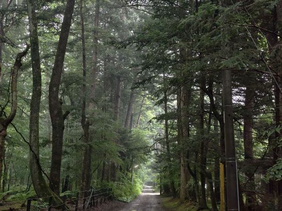 軽井沢ペンション 佐藤のぬくもり クーポン