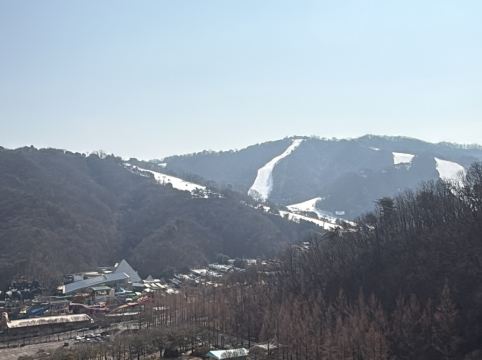 소노펠리체 비발디파크 쿠폰