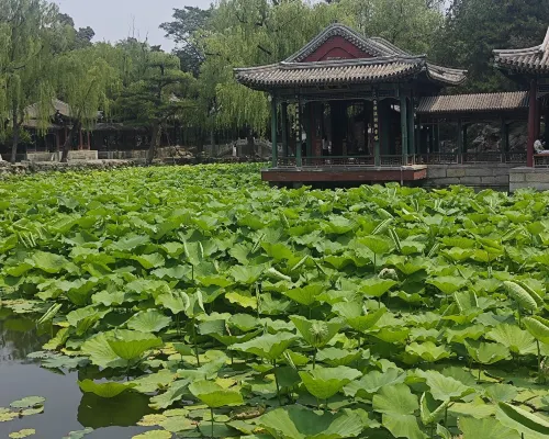 Homeinn Selected Hotel (Beijing Temple of Heaven South Gate Jingtai Subway Station) Near Hotel Photos