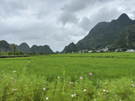 興義莫莫民宿優惠