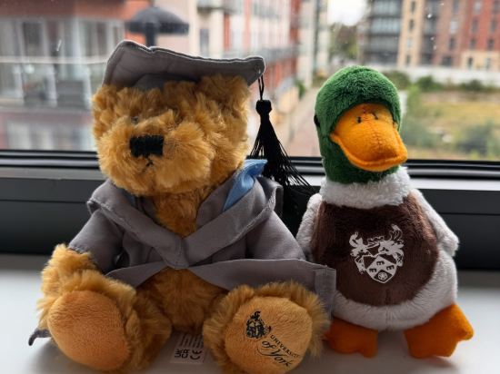 莫希約克酒店優惠