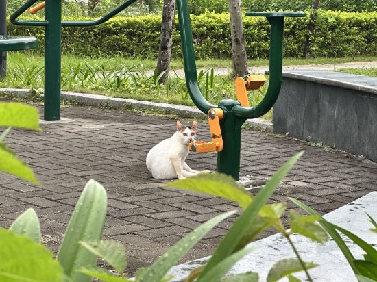 馬可貝羅酒店（江門萬達廣場店）優惠