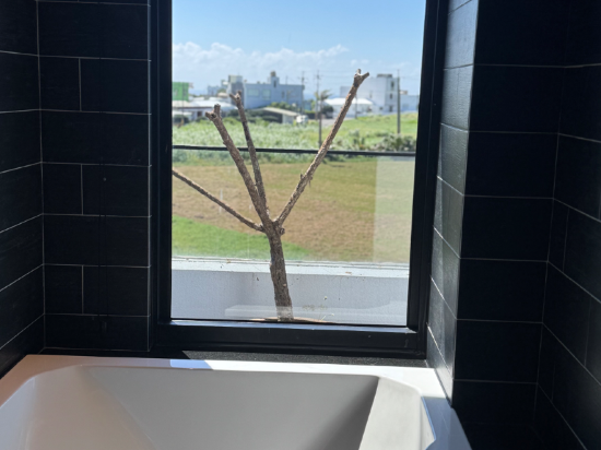 雲太美不想下山民宿優惠