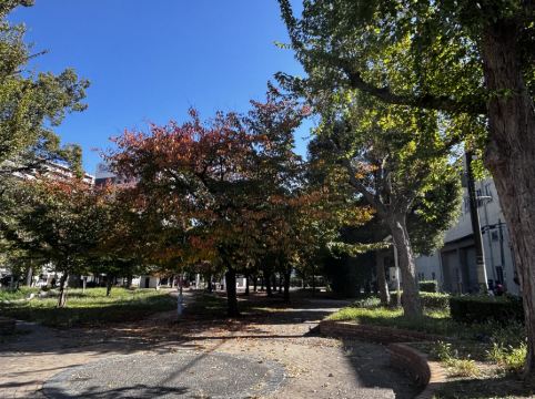 hotel it. osaka shinmachi クーポン