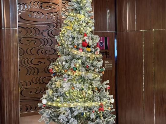 南京銀城皇冠假日酒店優惠