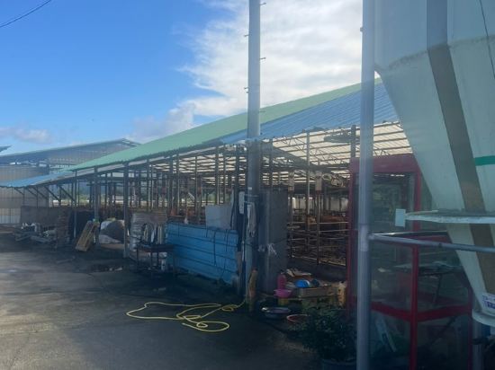 원주시티호텔 쿠폰