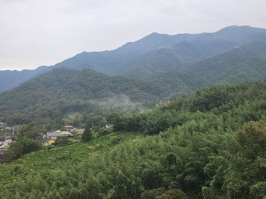 켄싱턴리조트 지리산하동 쿠폰