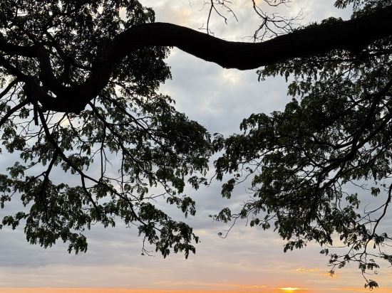 芭提雅帕塔納山Cross飯店優惠