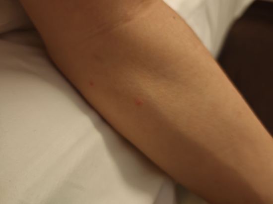 羅斯蘭科普酒店優惠