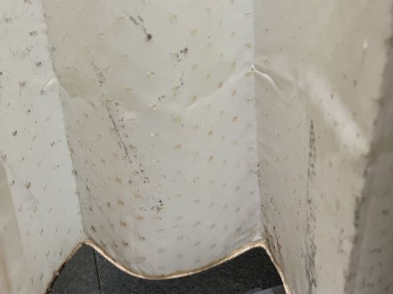 雀客快捷台中福星二館優惠